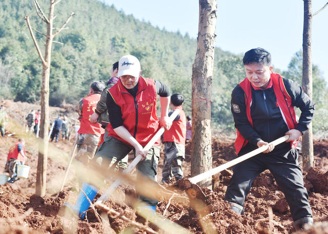 湖南嘉禾：义务植树添新绿