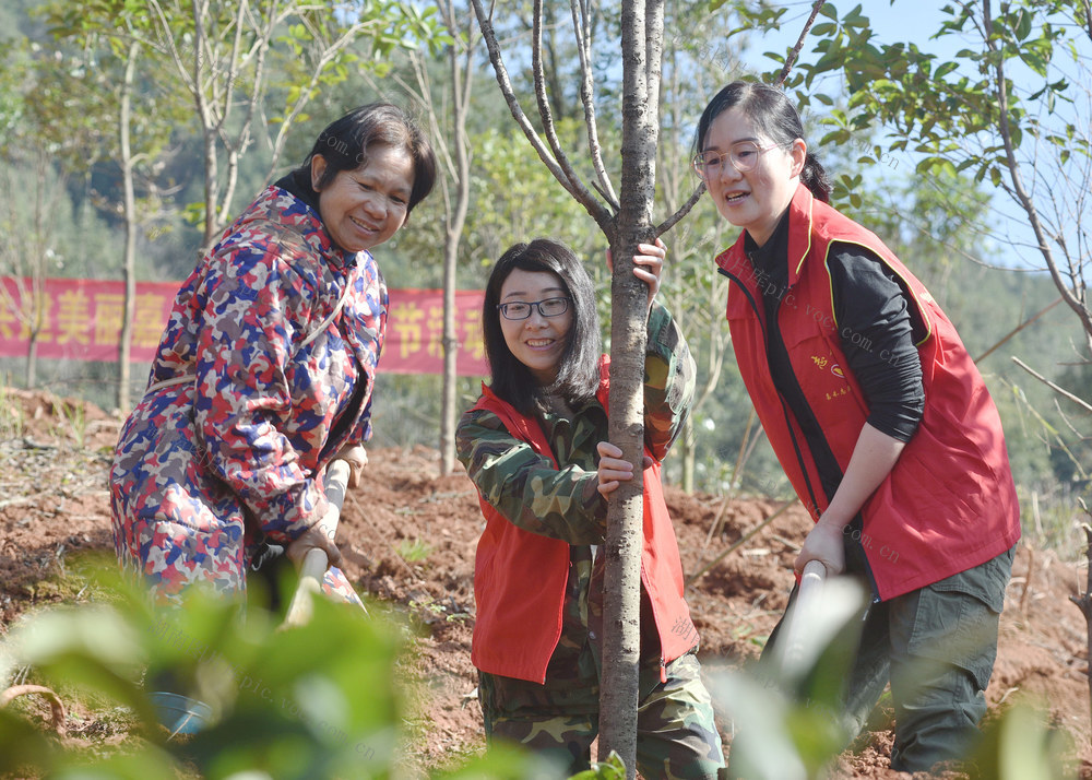 湖南嘉禾：义务植树添新绿