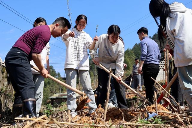 植树节、廉洁共建、社会治理、清廉、校园