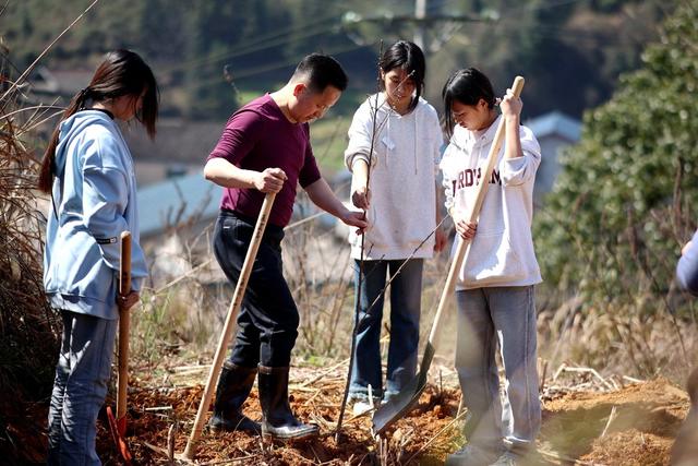 植树节、廉洁共建、社会治理、清廉、校园