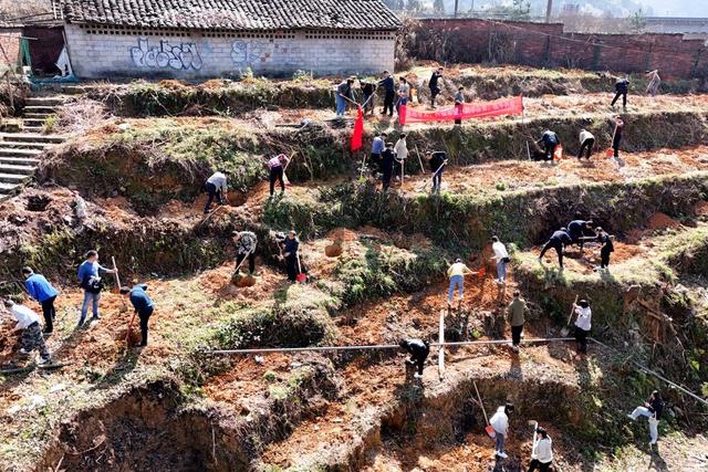 植树节、廉洁共建、社会治理、清廉、校园