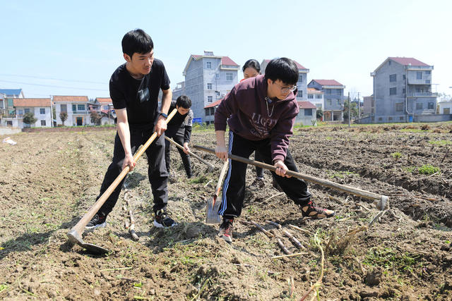 科技下乡  科技服务三农  甘蔗种植  湖南农业大学科技助农