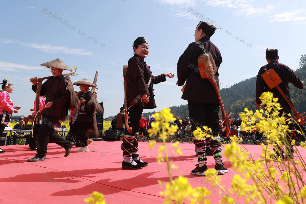 乡村 油菜花 文化节 旅游发展 民俗展演 游客 农业 
