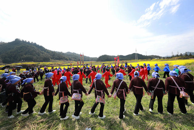 乡村 油菜花 文化节 旅游发展 民俗展演 游客 农业 
