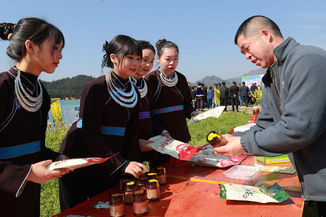 乡村 油菜花 文化节 旅游发展 民俗展演 游客 农业 
