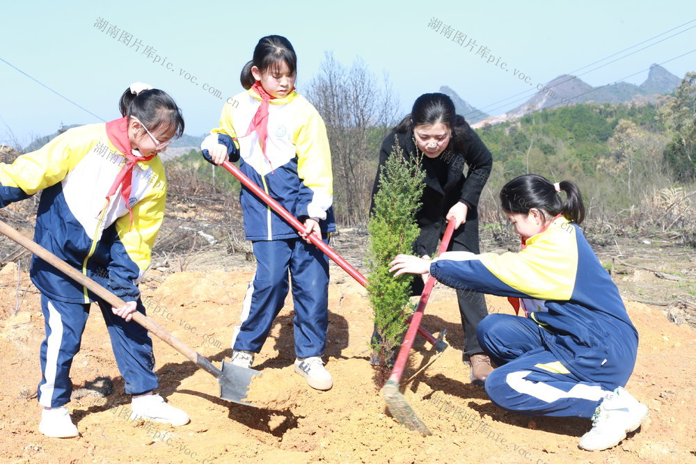 植树节里植树忙