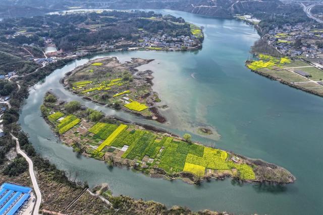 环境、生态、春天、油菜花、旅游