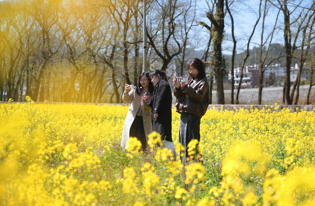 湖南桂东 花 客 乡村 游客