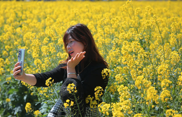 湖南桂东 花 客 乡村 游客