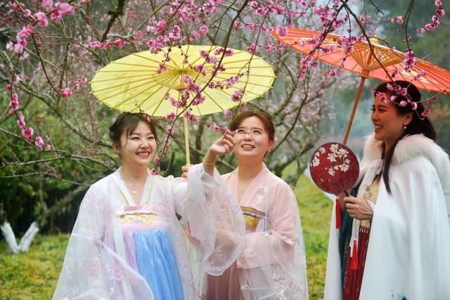 张家界  梅花 汉服  