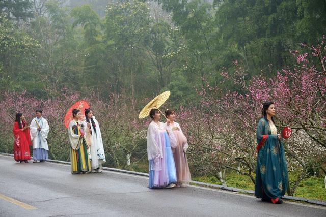 张家界  梅花 汉服  