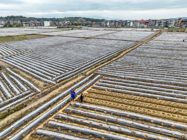 春耕
道县
农事