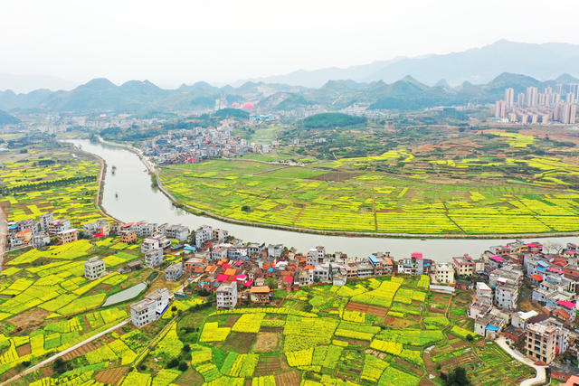 嘉禾：春陵河畔入画来