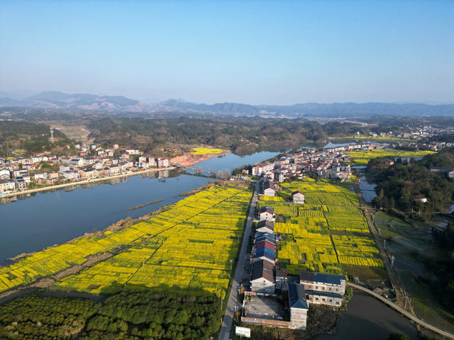 春天 山水 油菜花