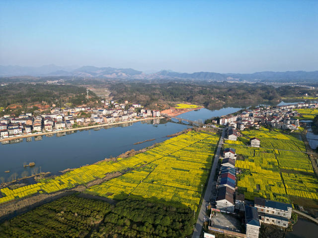 春天 山水 油菜花