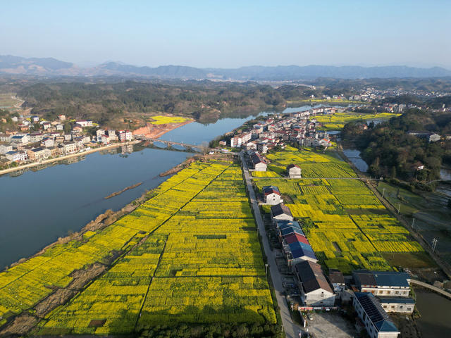 春天 山水 油菜花