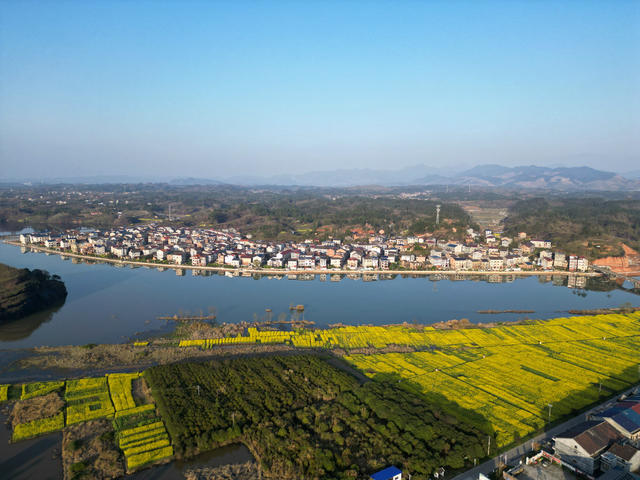 春天 山水 油菜花