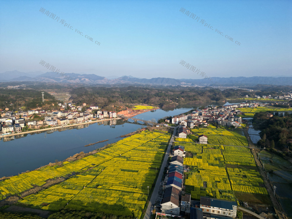 春天 山水 油菜花