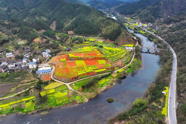 乡村、春天、油菜花、美丽乡村、农业农村