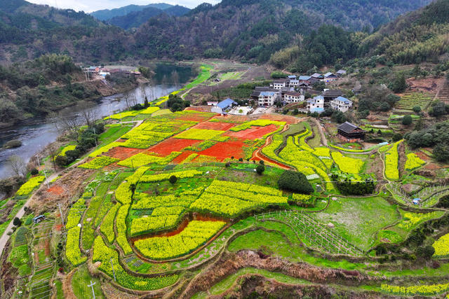 乡村、春天、油菜花、美丽乡村、农业农村