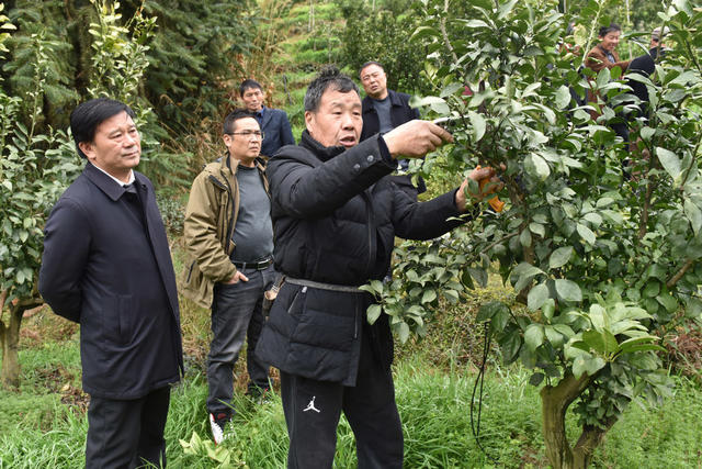 农技下乡 科技助农