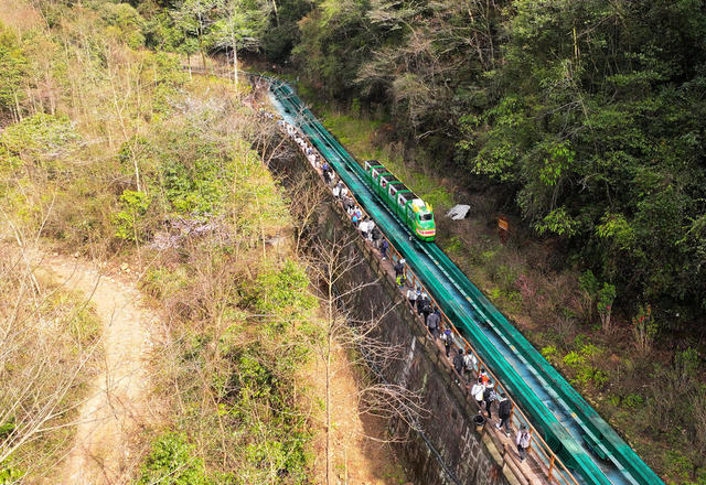 春季 旅游 张家界