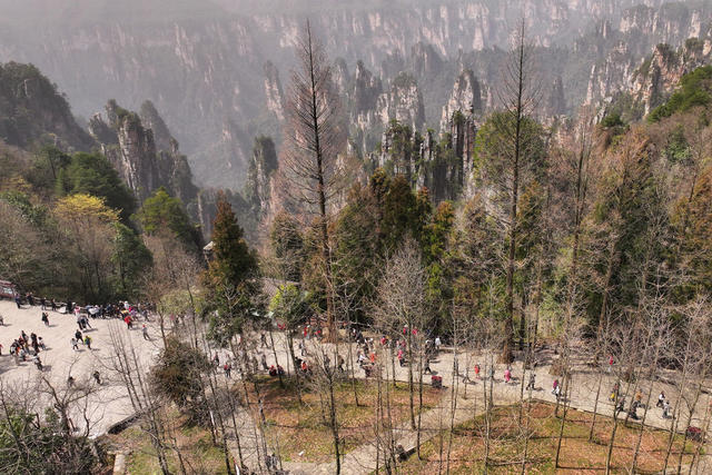 春季 旅游 张家界