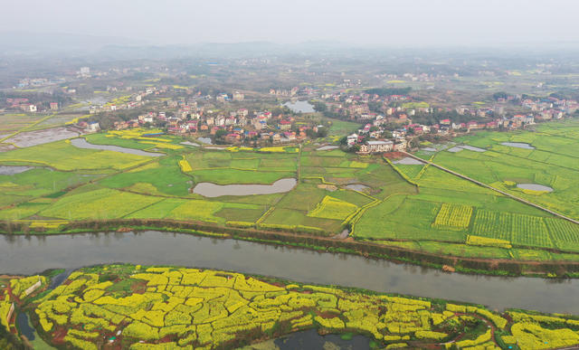 田园  风光  风景 旅游  自然  画卷  乡村  油菜  公路  村庄  景色 