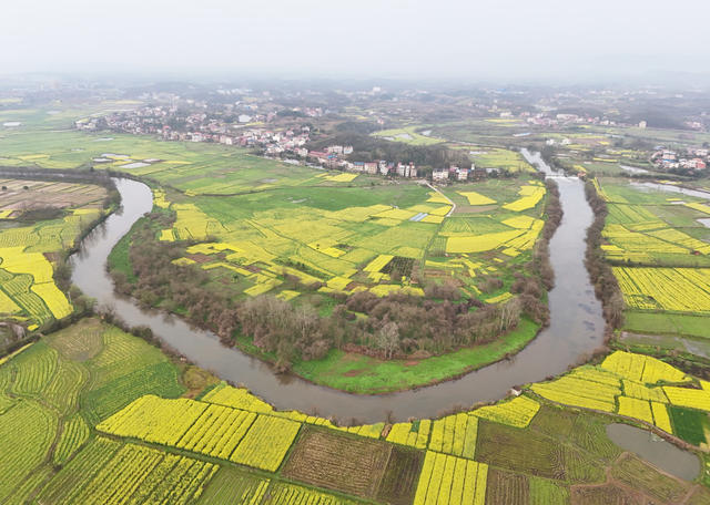田园  风光  风景 旅游  自然  画卷  乡村  油菜  公路  村庄  景色 