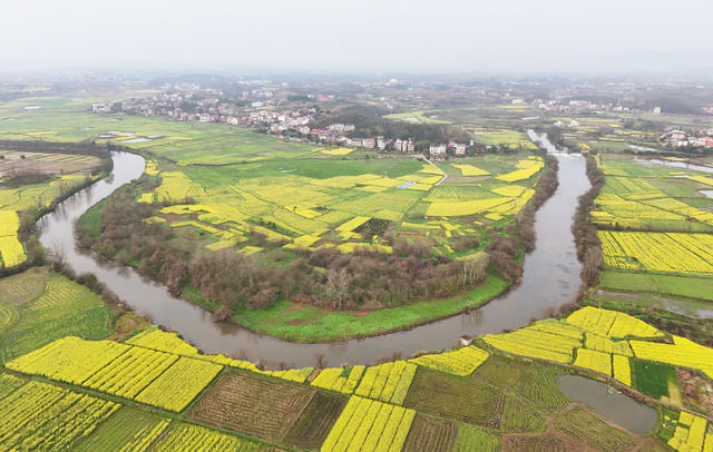 田园  风光  风景 旅游  自然  画卷  乡村  油菜  公路  村庄  景色 