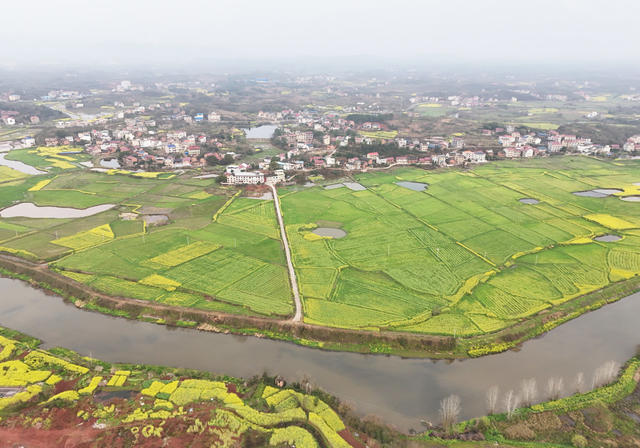 田园  风光  风景 旅游  自然  画卷  乡村  油菜  公路  村庄  景色 