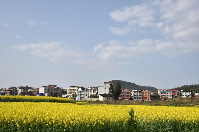碧水 映 春景 蓝天 耀 幸福