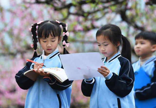 嘉禾：亲近自然 绘画春天