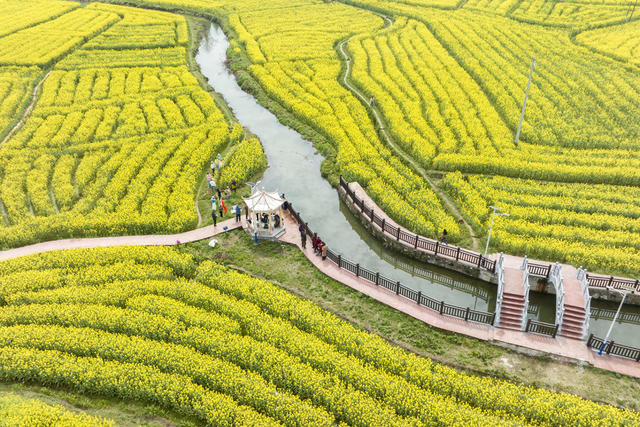 娄底 农旅融合 花经济