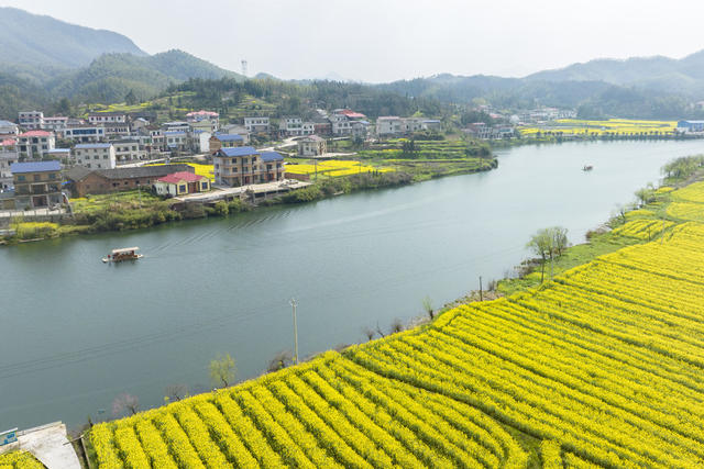 娄底 农旅融合 花经济