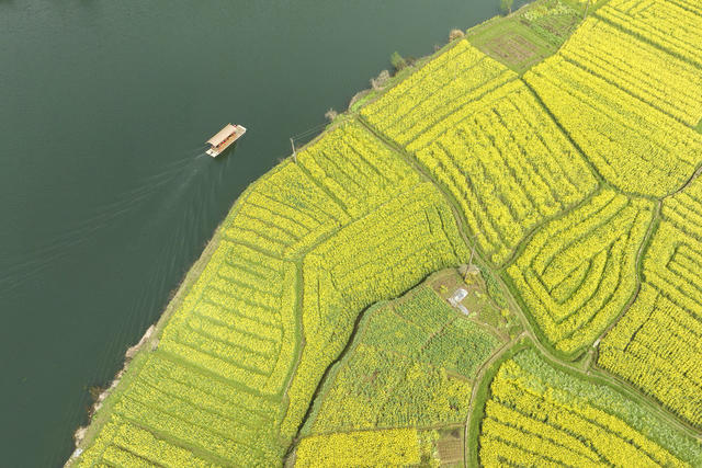 娄底 农旅融合 花经济