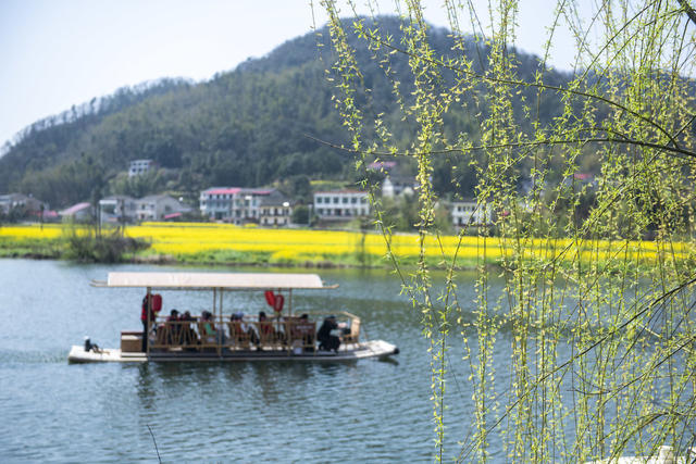 娄底 农旅融合 花经济