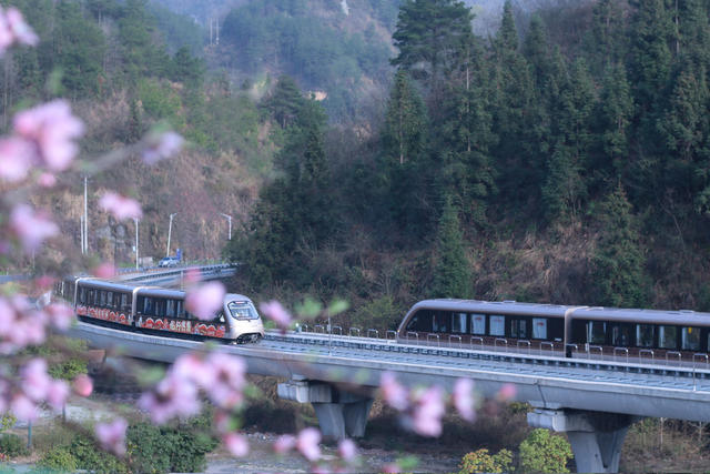 春天 磁悬浮 赏花 踏青 花 桃花 工程 游客 文旅 