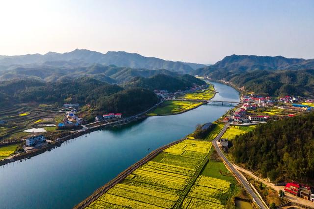 春光  自然  河流  柳树  环境  船  油菜花
