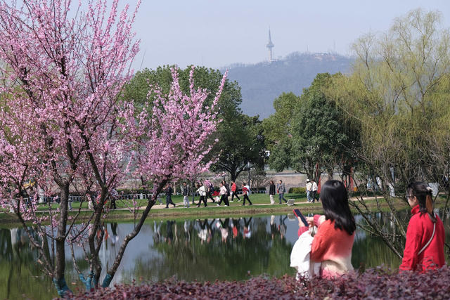 乐享春光，橘子洲景区