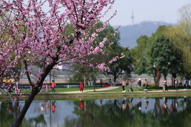 乐享春光，橘子洲景区