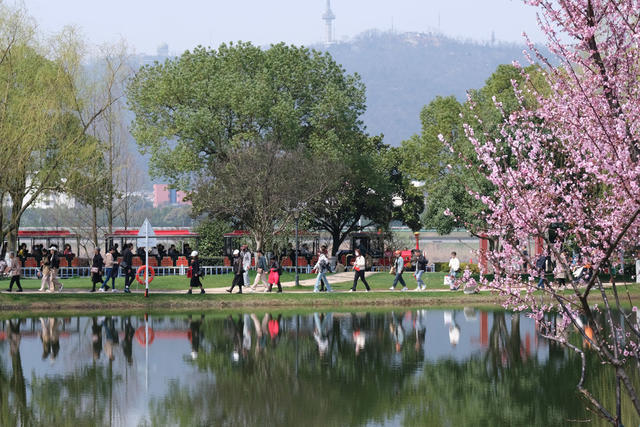 乐享春光，橘子洲景区