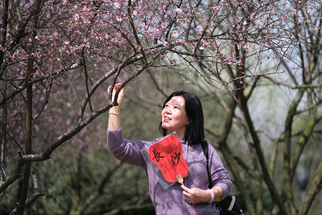 乐享春光，橘子洲景区