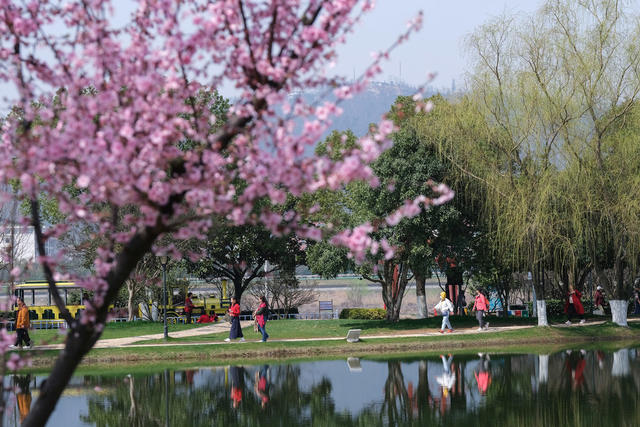 乐享春光，橘子洲景区