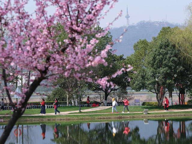 乐享春光，橘子洲景区