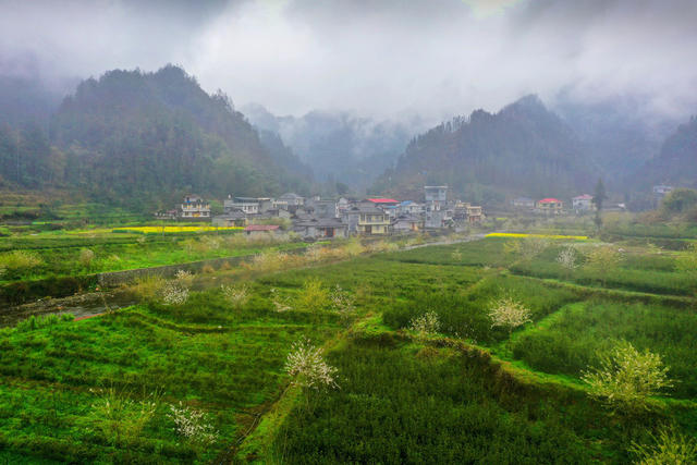 湖南 龙山 春雨 村庄 细雨 远山 云雾 鲜花 茶园嫩芽 小河 村庄