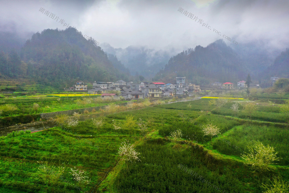 湖南 龙山 春雨 村庄 细雨 远山 云雾 鲜花 茶园嫩芽 小河 村庄