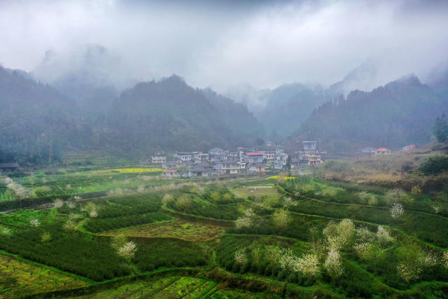 湖南 龙山 春雨 村庄 细雨 远山 云雾 鲜花 茶园嫩芽 小河 村庄