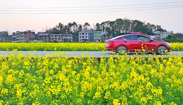 湖南  常宁  乡村  美景