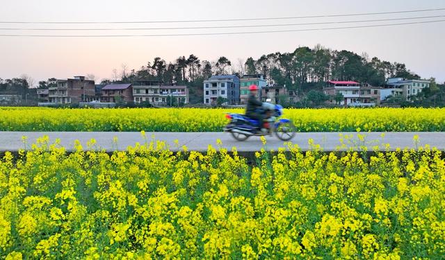 湖南  常宁  乡村  美景